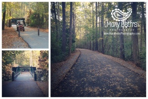 Three images of a scenic fall trail taken by an Augusta GA newborn photographer | Mary Beth's Photography