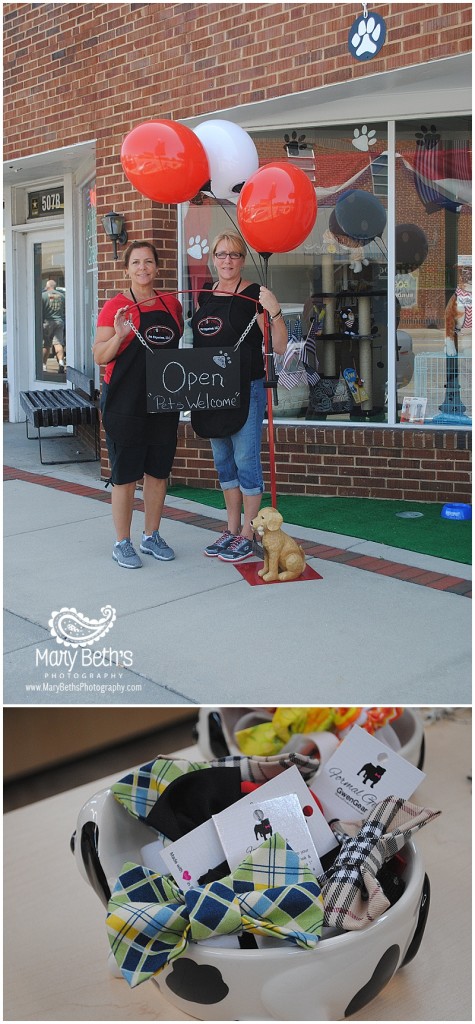 Augusta GA Newborn Photographer images of a pet shop in North Augusta, GA | Mary Beth's Photography