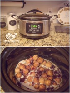 Augusta GA Newborn Photographer images of Cranberry Meatball recipe | Mary Beth's Photography