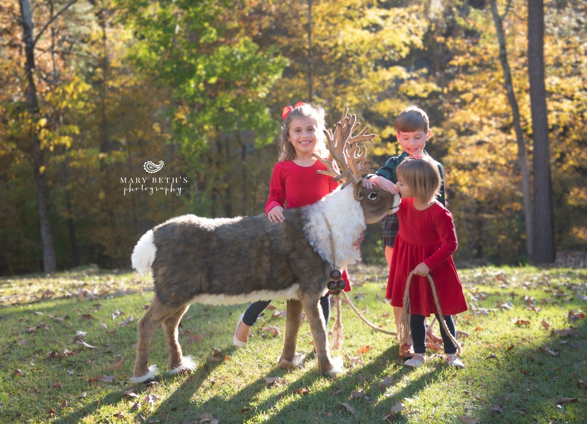 children with reindeer