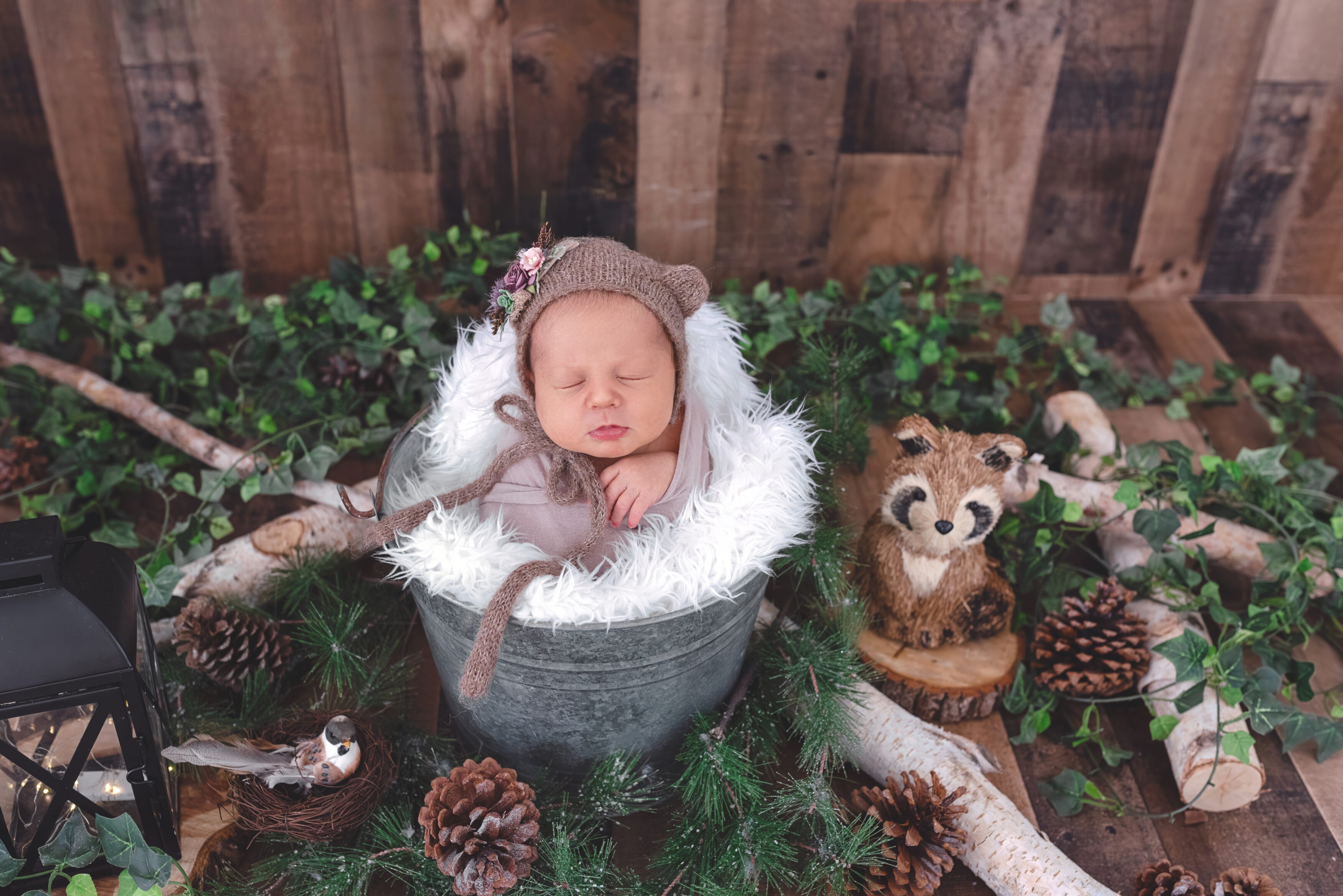 Newborn girl in woodland theme in Augusta, Ga