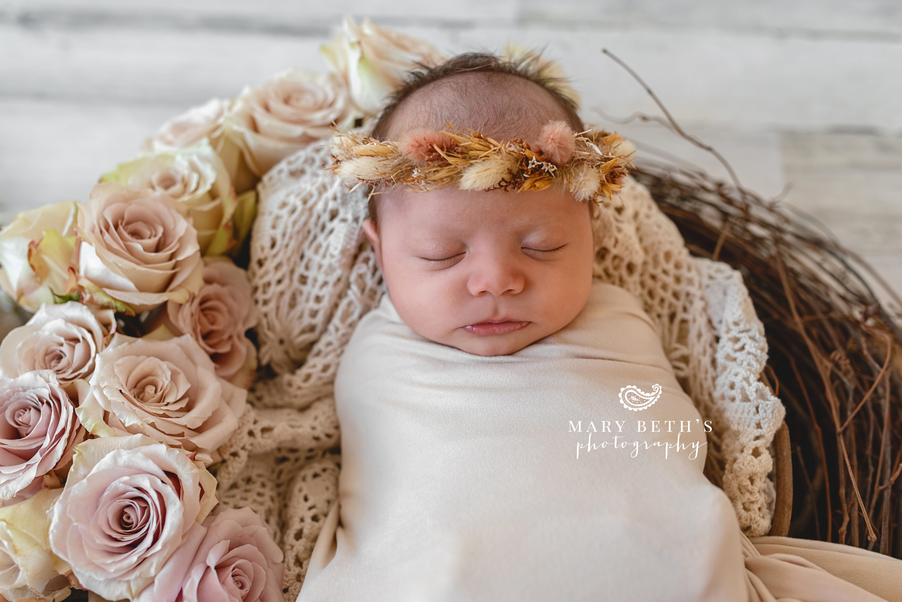 newborn portrait session 