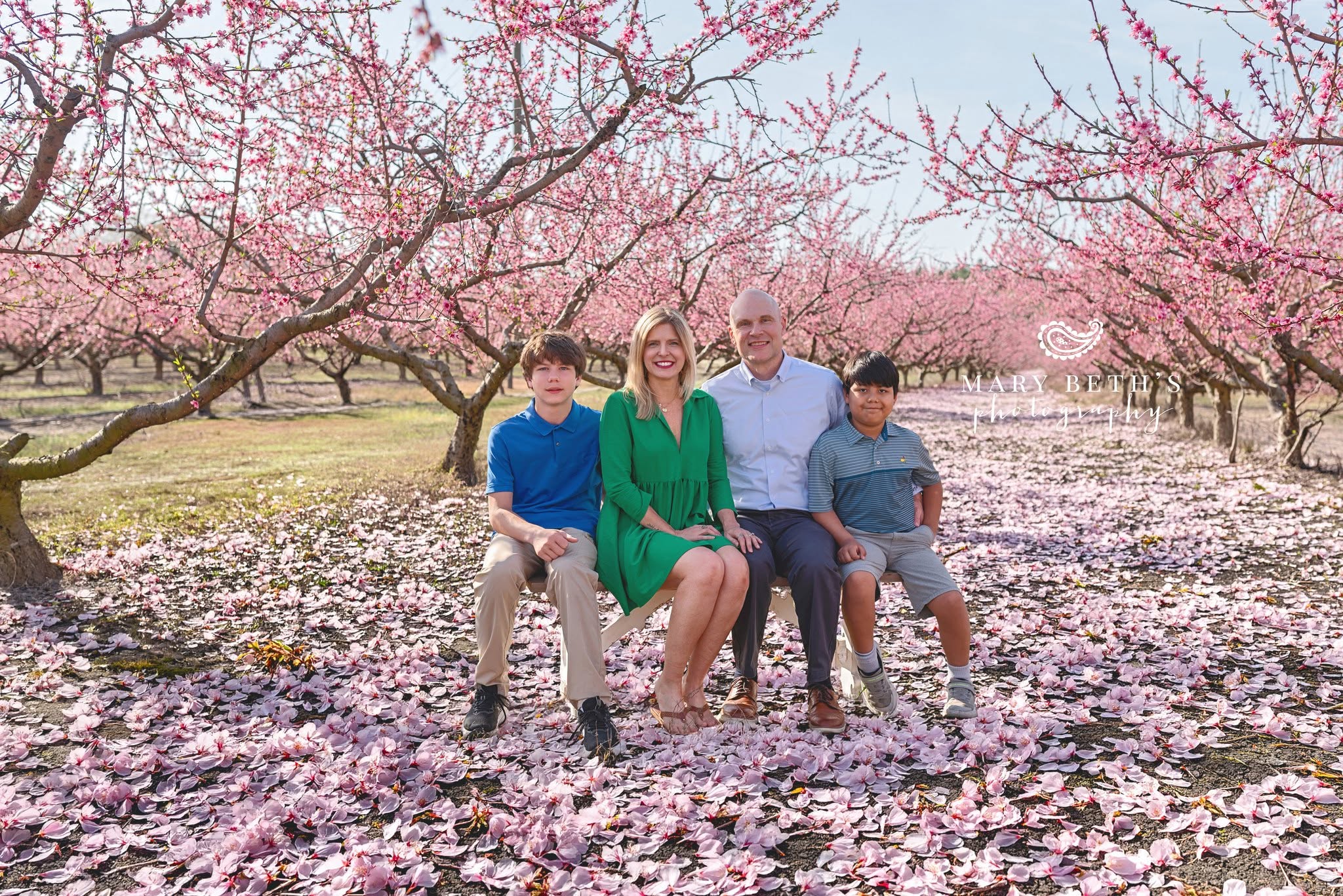 timeless family portraits